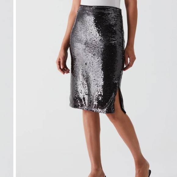 Rafaella Dresses & Skirts - RAFAELLA sequin midi skirt